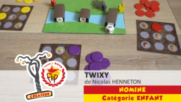 Nicolas Henneton, auteur du prototype : Twixy