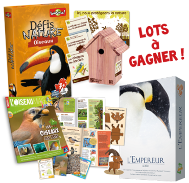 Concours – Des OISEAUX et des JEUX !