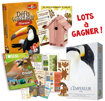 jeux à gagner pour le concours "Des oiseaux et des jeux", organisé par le FLIP et le FIFO de Ménigoute