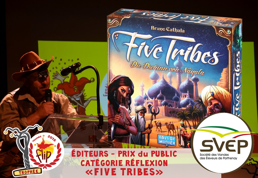 Catégorie Réflexion, parrainée par la SVEP : Five Tribes de Day of Wonders