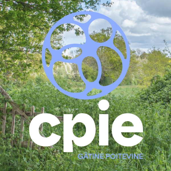cpie_gâtine_poitevine