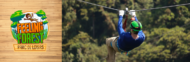 feeling-forest-1