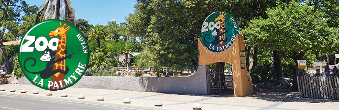zoo-plamyre