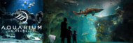aquarium-la-rochelle-1