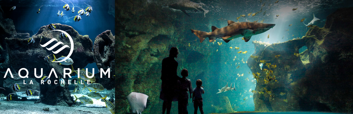 aquarium-la-rochelle-1