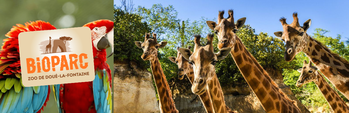 Bioparc – Zoo Doué la Fontaine