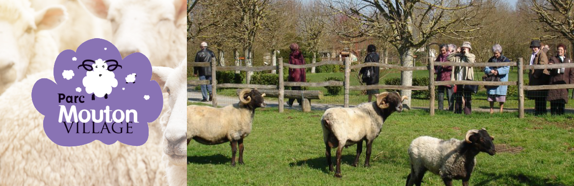 Mouton Village