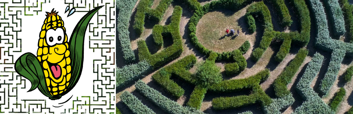 Labyrinthe Végétal