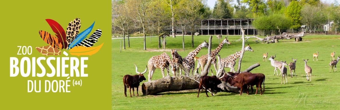 Zoo de la Boissière du Doré