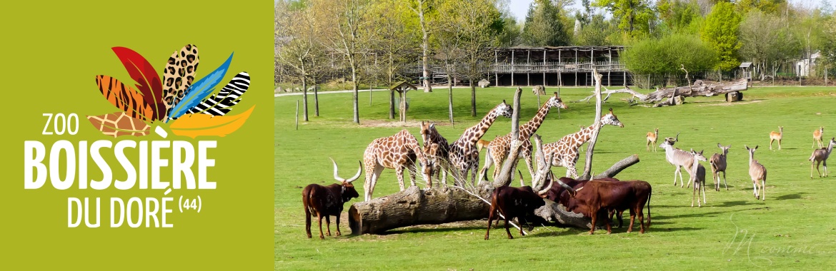 Banniere_Zoo_de_la_Boissiere