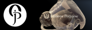 editions-portejoie-vdj